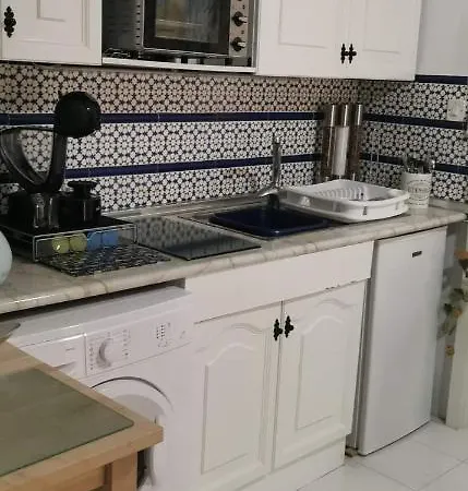 Casa Roman 公寓 阿利坎特